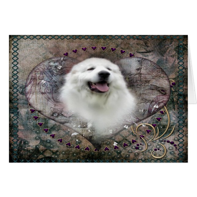 Great Pyrenees Card - "Beautiful Benny" (Vorderseite (Horizontal))