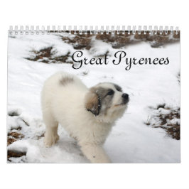 Great Pyrenees Puppy Calendar Kalender