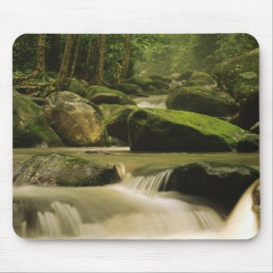Great Smoky Mountain National Park, TN 2 Mousepad