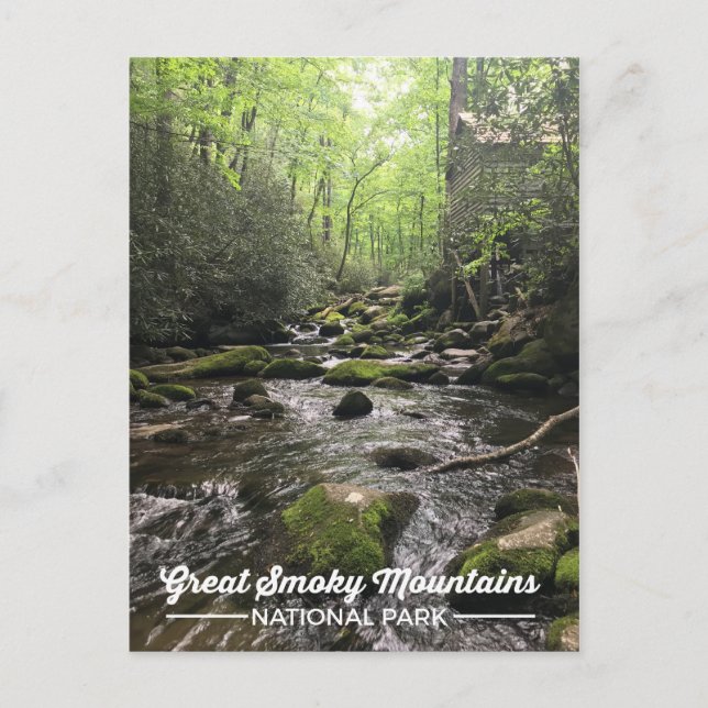 Great Smoky Mountain Nationalpark Postcard Postkarte (Vorderseite)
