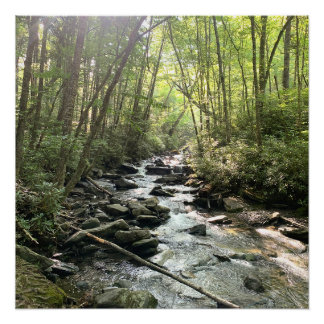 Great Smoky Mountains Gebirgsbach Poster
