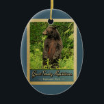 Great Smoky Mountains National Park Bären Keramik Ornament<br><div class="desc">Vintage Reise-Ornament Great Smoky Mountains National Park Bild mit einem schwarzen Bär stehend auf seinen Hinterbeinen, Blick in den grünen Wald.</div>