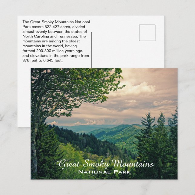 Great Smoky Mountains National Park Fakten Postkarte (Vorne/Hinten)