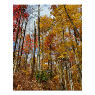 Great Smoky Mountains National Park Fall Foliage Poster
