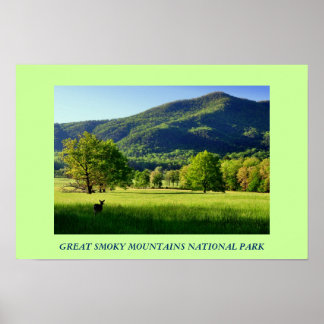 Great Smoky Mountains National Park Foto Poster