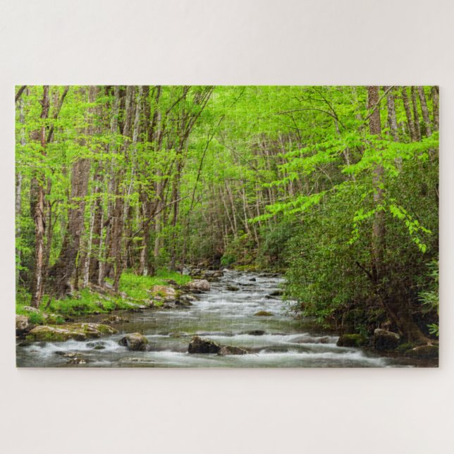 Great Smoky Mountains National Park North Carolina (Horizontal)