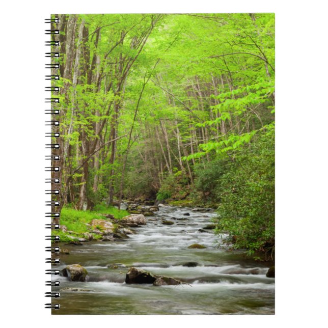Great Smoky Mountains National Park North Carolina Notizblock (Vorderseite)