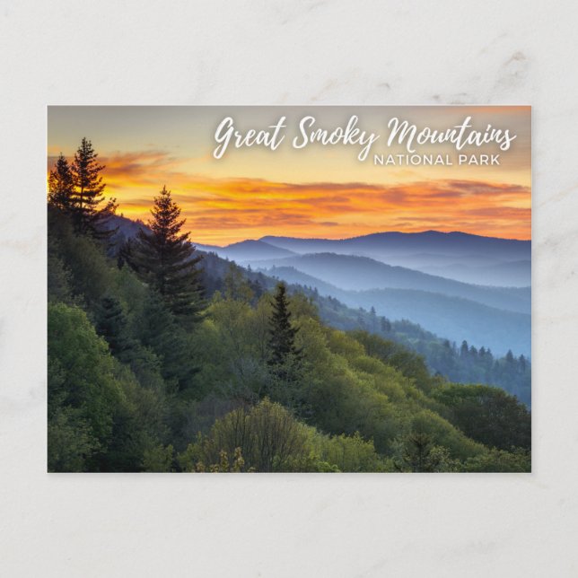 Great Smoky Mountains National Park Postcard Postkarte (Vorderseite)