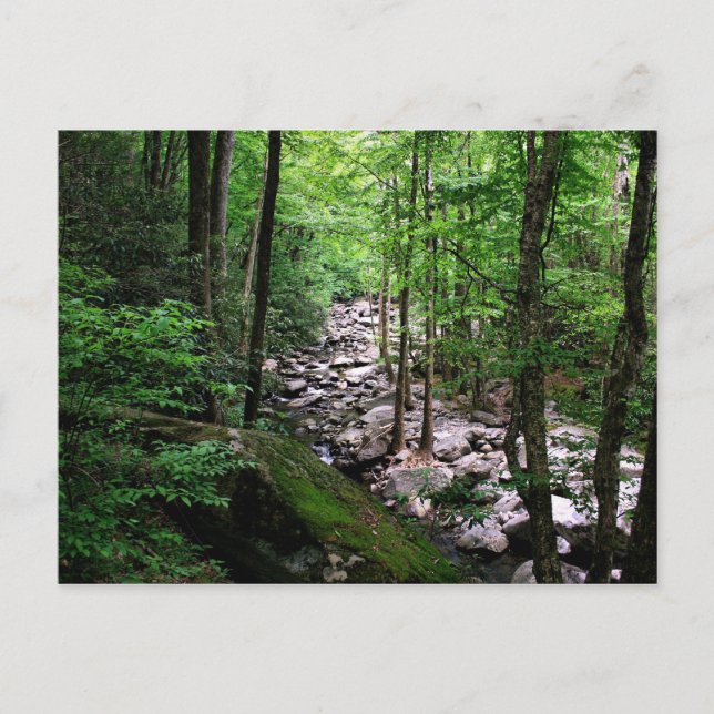 Great Smoky Mountains National Park Postkarte (Vorderseite)