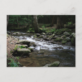 Great Smoky Mountains National Park Postkarte