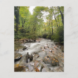 Great Smoky Mountains National Park, Tennessee Postkarte