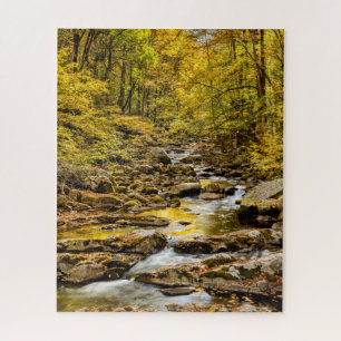 Great-Smoky-Mountains-Nationalpark. Big Creek