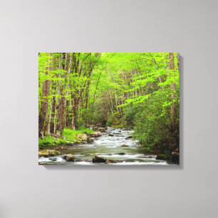 Great Smoky Mountains Nationalpark North Carolina Leinwanddruck