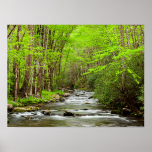 Great Smoky Mountains Nationalpark North Carolina Poster