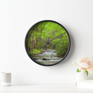Great Smoky Mountains Nationalpark North Carolina Uhr