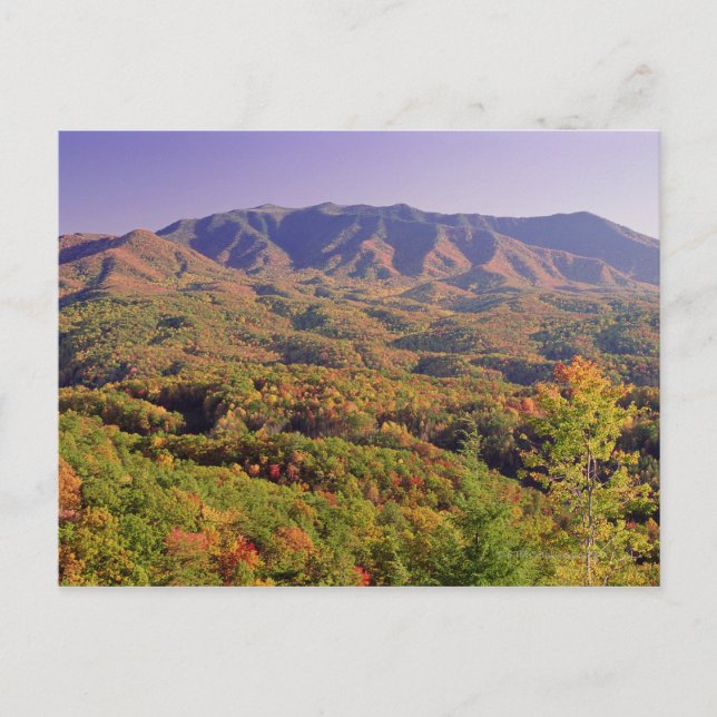 Great Smoky Mountains NP, Tennessee, USA Postkarte (Vorderseite)