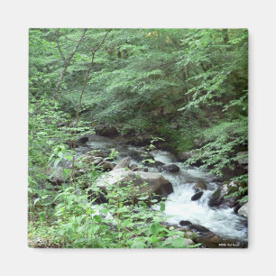 Great Smoky Mountains-Strom-Magnet Magnet