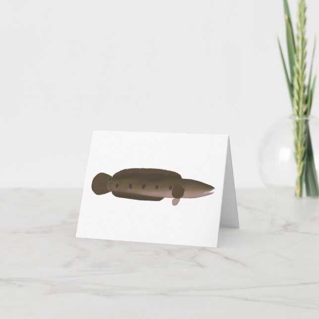 Great Snakehead (Vorderseite)