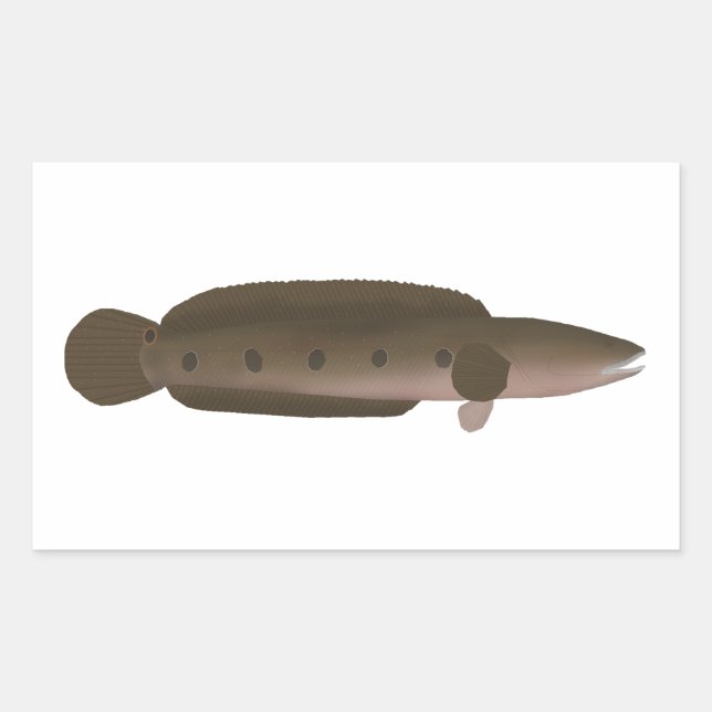 Great Snakehead Rechteckiger Aufkleber (Vorderseite)
