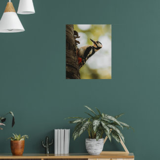 Great Spotted Woodpecker Fine Art Nature Poster