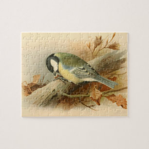 Great Tit von Lord Lilford, Birds Illustration