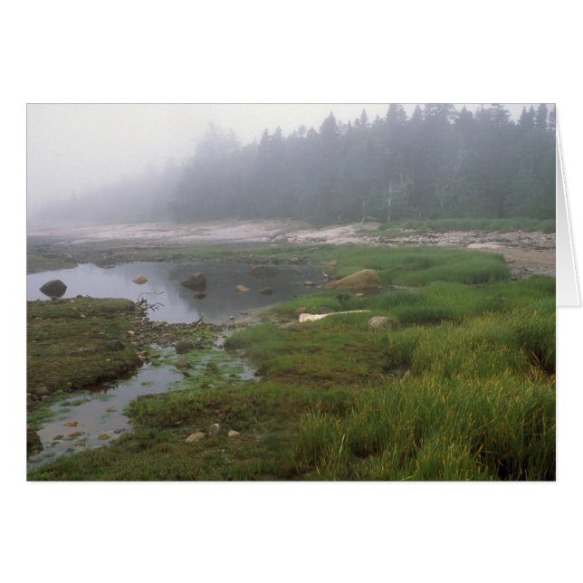 Great Wass Island Maine (Devant horizontal)