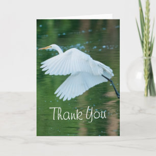 Great White Egret Dankeskarte
