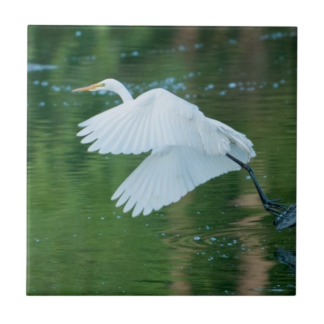 Great White Egret Fliese (Vorderseite)