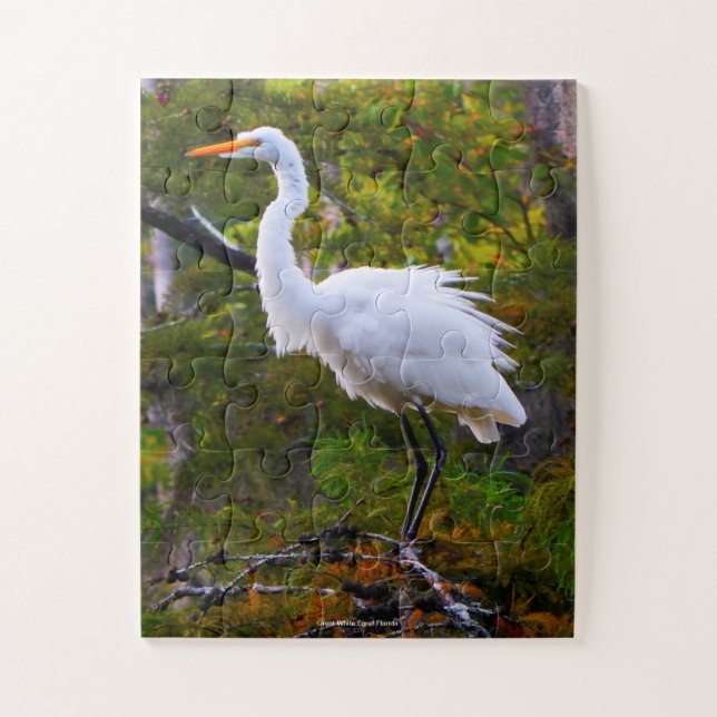 Great White Egret Florida (Vertikal)
