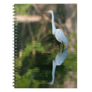 Great White Egret Notizblock