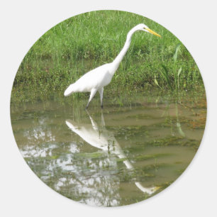 Great White Egret Runder Aufkleber