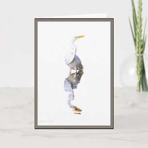 Great White Egret : simple belle carte d'oiseau.
