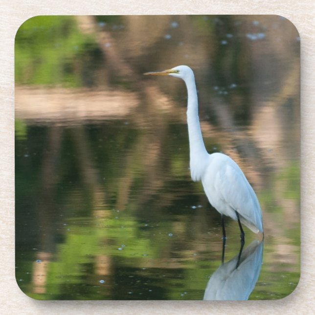 Great White Egret Untersetzer (Vorderseite)