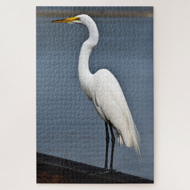 Great White Heron (Vertikal)