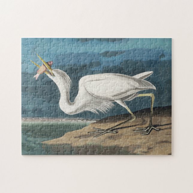 Great White Heron Audubon Bird Wildlife Painting (Horizontal)