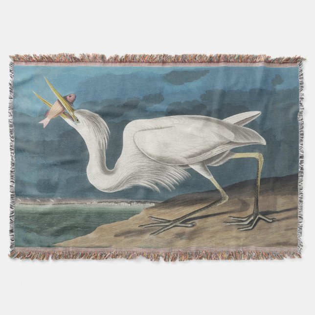 Great White Heron Audubon Bird Wildlife Painting Decke (Vorderseite)