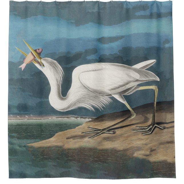 Great White Heron Audubon Bird Wildlife Painting Duschvorhang (Vorderseite)