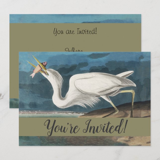 Great White Heron Audubon Bird Wildlife Painting Einladung (Vorne/Hinten)