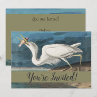 Great White Heron Audubon Bird Wildlife Painting