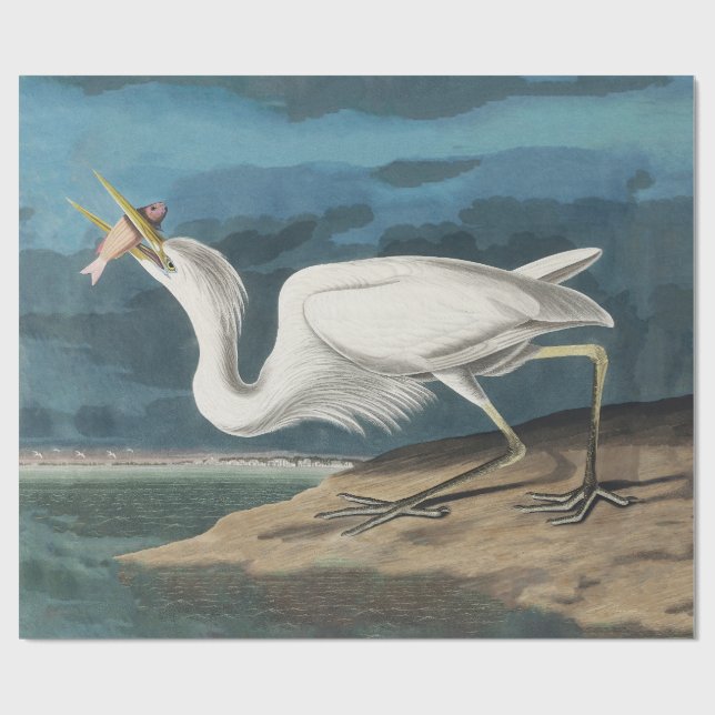 Great White Heron Audubon Bird Wildlife Painting Geschenkpapier (Flach)