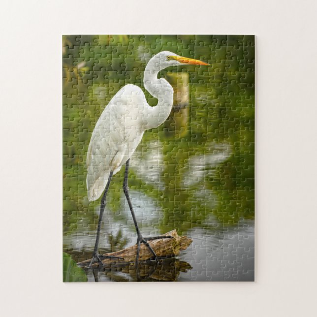 Great White Heron on a Log Animal Fotografy (Vertikal)