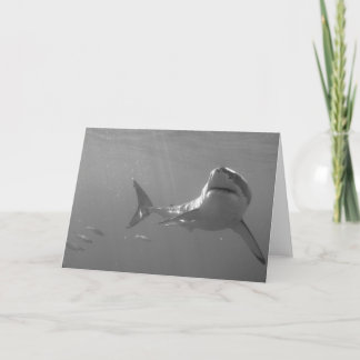 Great White Karte