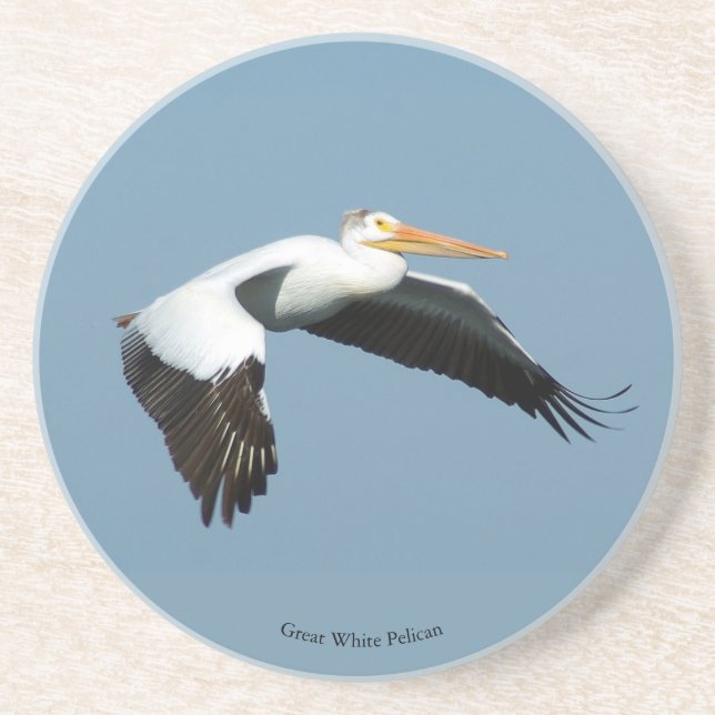 Great White Pelican Sandstone Untersetzer (Vorne)