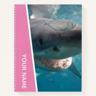 Great White Shark Australia Lächeln Zähne, Pink Gi Notizbuch