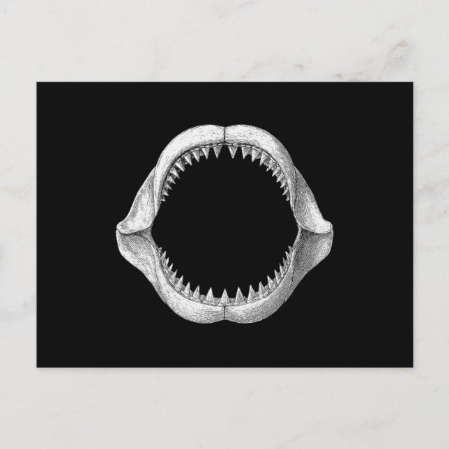 Great White Shark Jaw Feiertagspostkarte (Vorderseite)