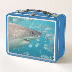 Great White Shark Nah Up Ocean Australien Metall Brotdose