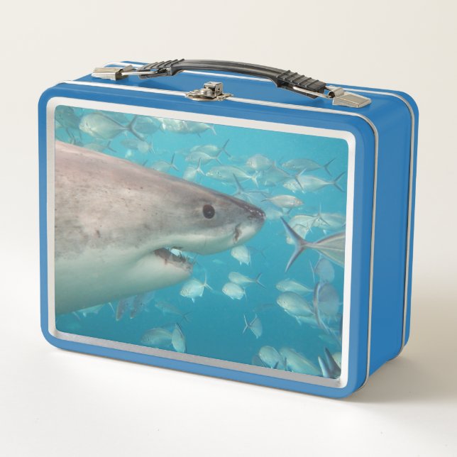 Great White Shark Nah Up Ocean Australien Metall Brotdose (Vorderseite)
