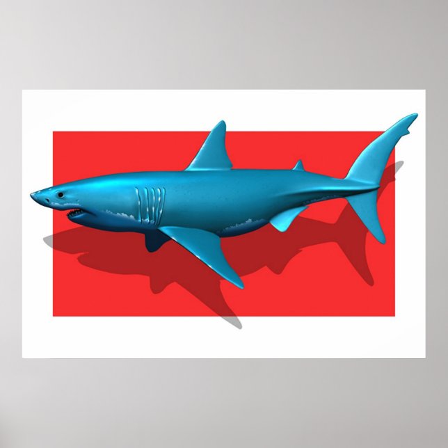 Great White Shark Poster (Vorne)