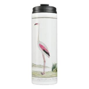 Greater Flamingo Thermosbecher