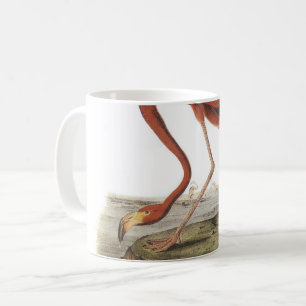 Greater Flamingo von Audubon Kaffeetasse